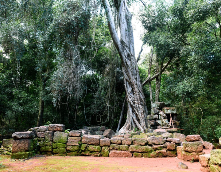 Capilla Jesuítica Guarani San Alonso