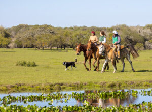 Turismo Rural