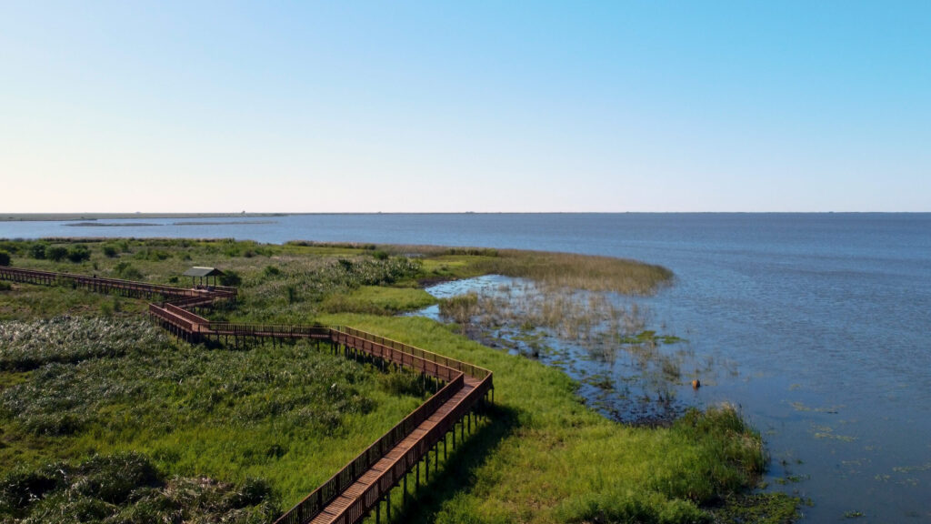 Paseos y actividades al aire libre